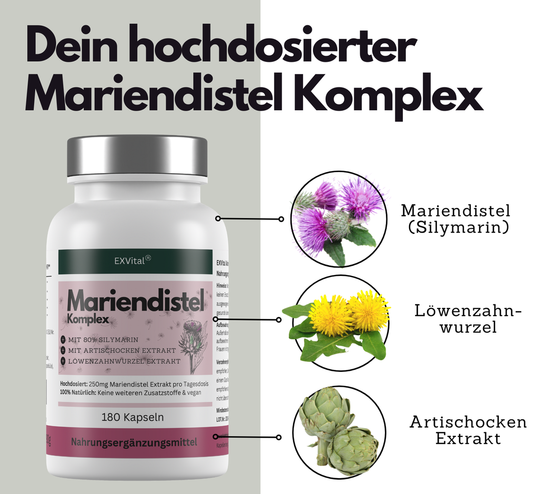 Mariendistel Komplex Kapseln mit Artischocke &amp; Löwenzahn, 180 Stück von EXVital