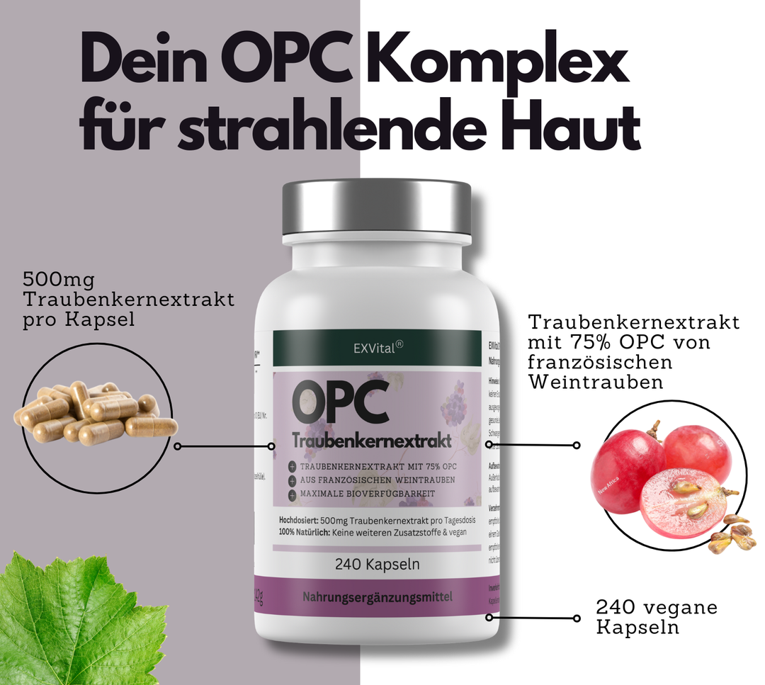 OPC Traubenkernextrakt Kapseln, hochdosiert, 240 Stück von EXVital