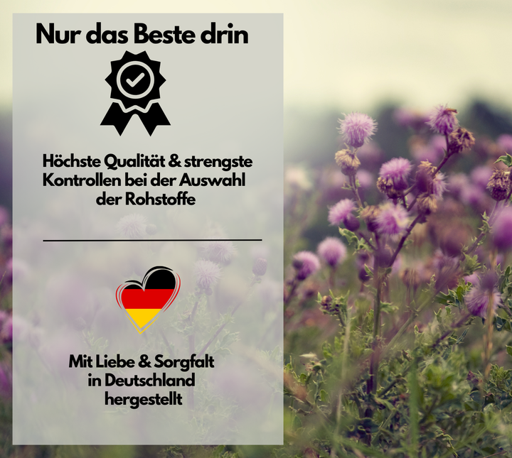 Mariendistel Komplex Kapseln mit Artischocke &amp; Löwenzahn, 180 Stück von EXVital
