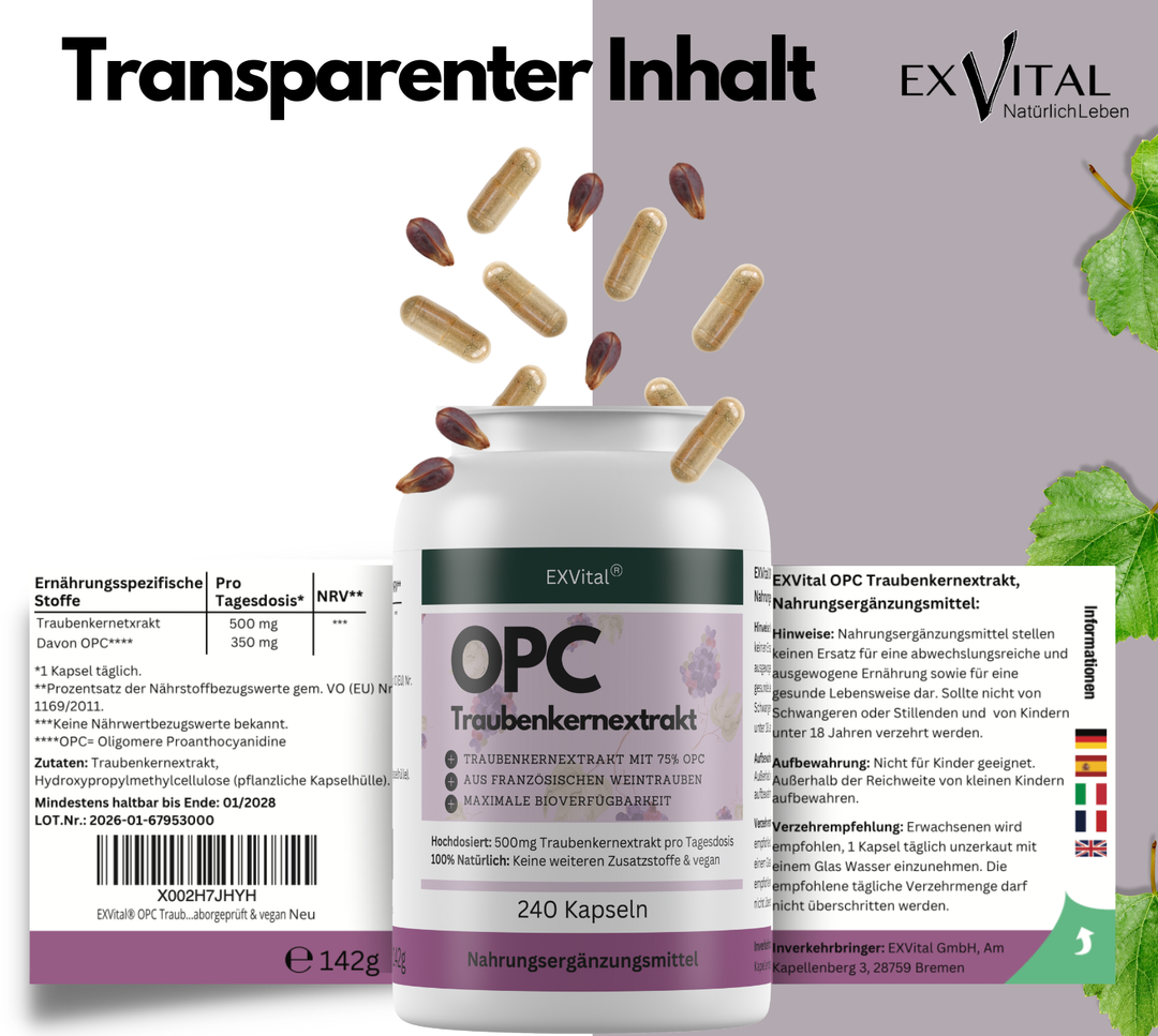 OPC Traubenkernextrakt Kapseln, hochdosiert, 240 Stück von EXVital