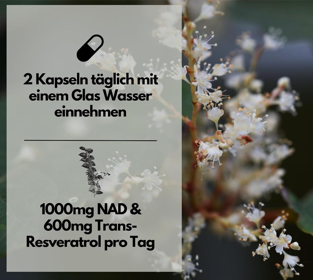 NAD+ Kapseln, hochdosiert 1000mg NAD+ &amp; 600mg Trans-Resveratrol pro Tag, 120 Stück von EXVital
