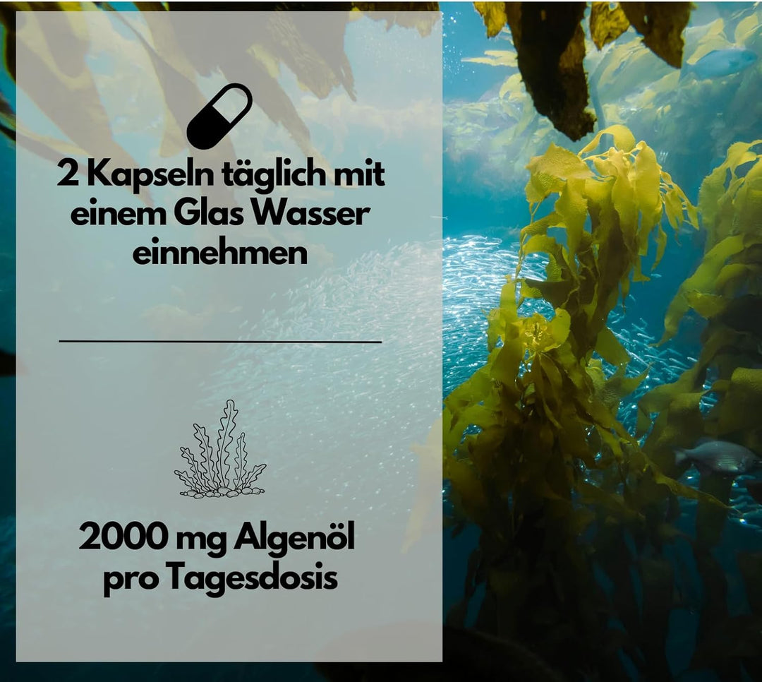 Omega 3 aus Algenöl, 120 Softgel Kapseln, 2000mg pro Tag von EXVital