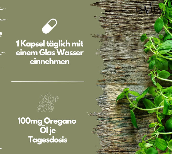 Bio Oregano Öl, 60 Flüssigkapseln von EXVital
