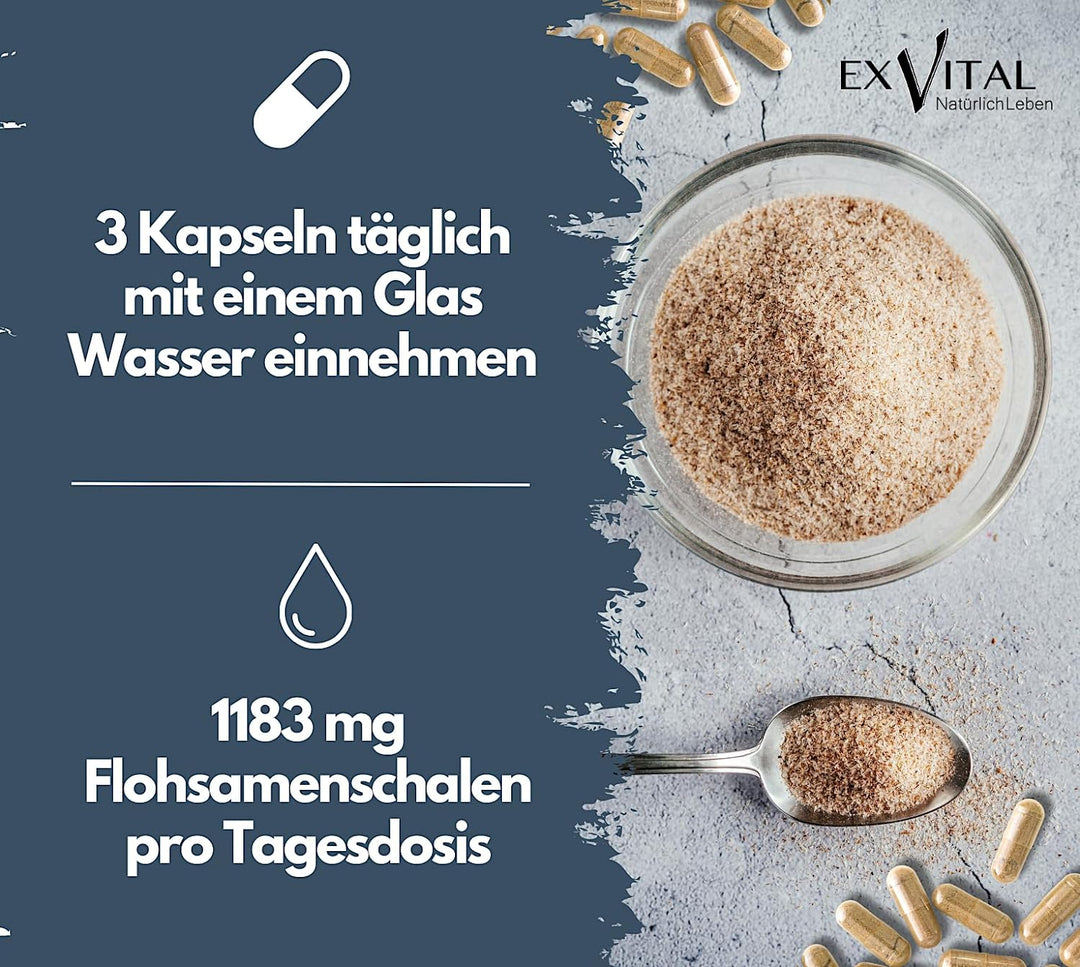 Colon Ex mit Flohsamenschalen und Magnesium von EXVital, 90 Kapseln