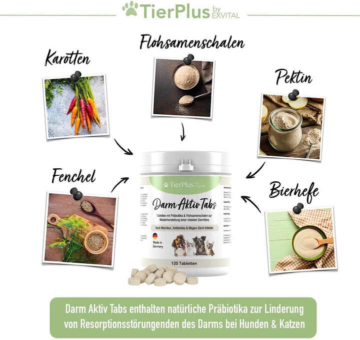 TierPlus Darm Aktiv Tabletten für Hunde &amp; Katzen, Präbiotika Komplex von EXVital