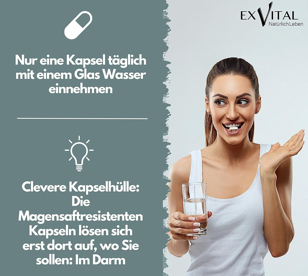 Flora+ Kulturen Komplex mit 500 Mrd. KBE/g - 22 Bakterienkulturen von EXVital