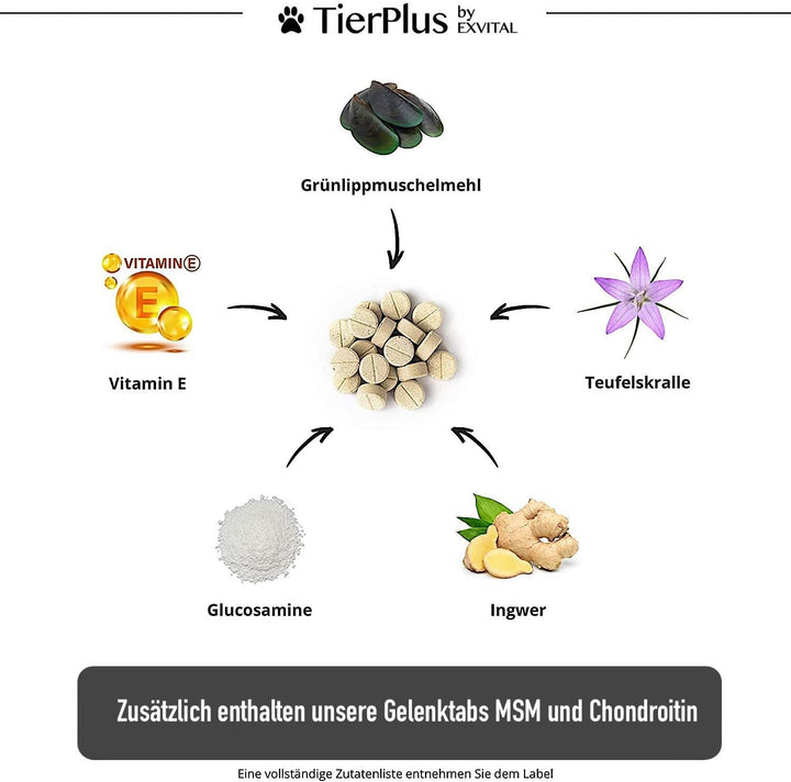 Grünlippmuschel Plus - Gelenktabletten für Hunde