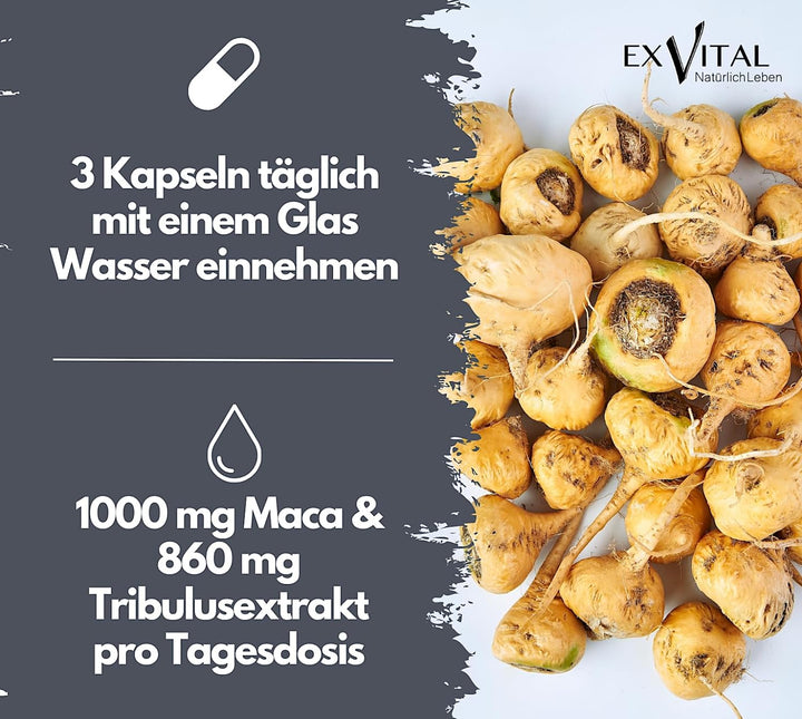 Maca 1000 Plus Tribulus von EXVital, 90 Kapseln