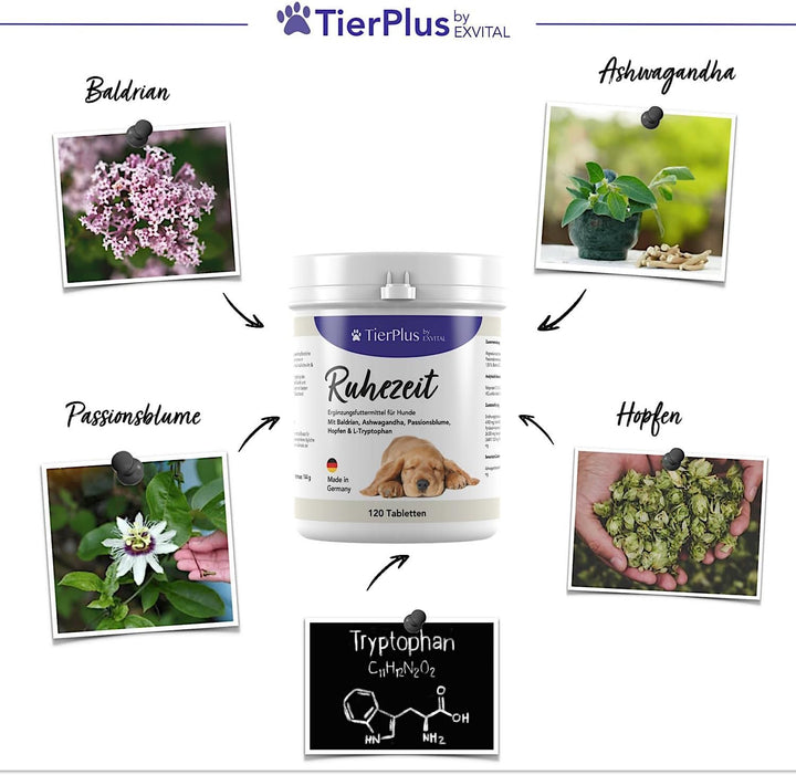 TierPlus Ruhezeit Tabletten für Hunde mit Baldrian und Ashwagandha
