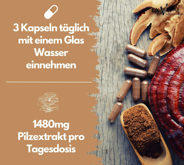 Vitalpilze Komplex- Hericium, Cordyceps, Reishi, Chaga, Shiitake &amp; Maitake von EXVital