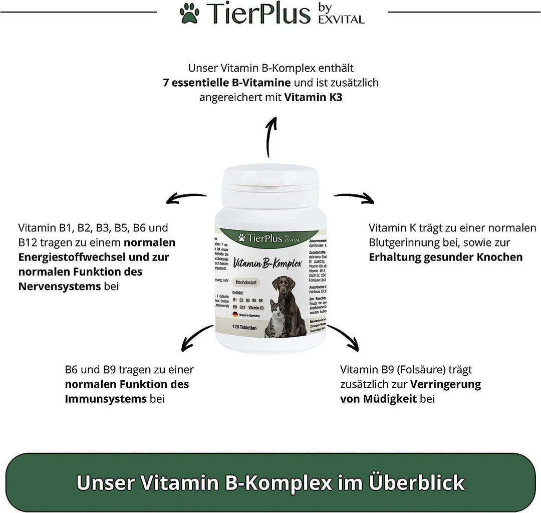 Vitamin B Komplex für Hunde &amp; Katzen