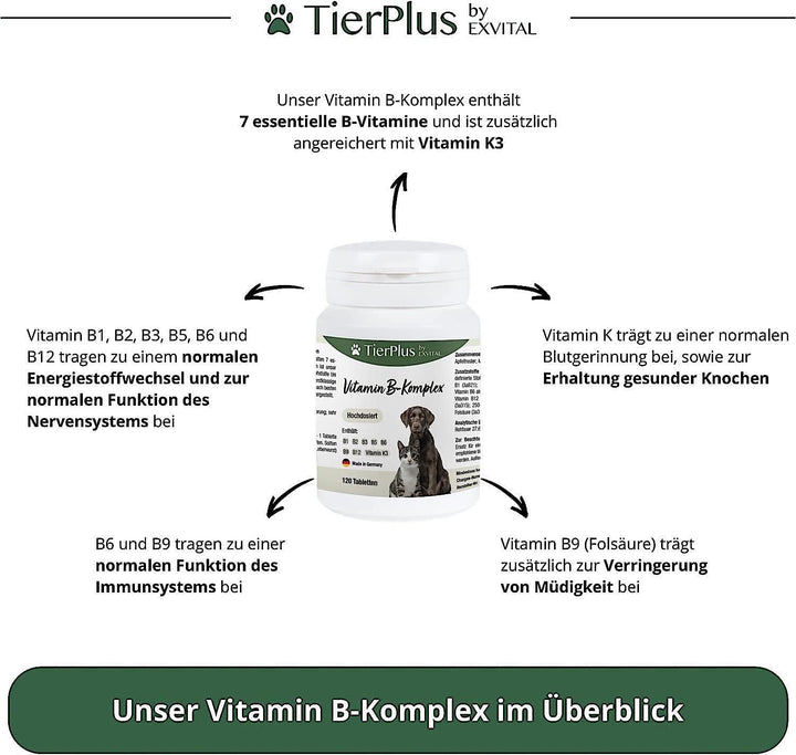Vitamin B Komplex für Hunde &amp; Katzen