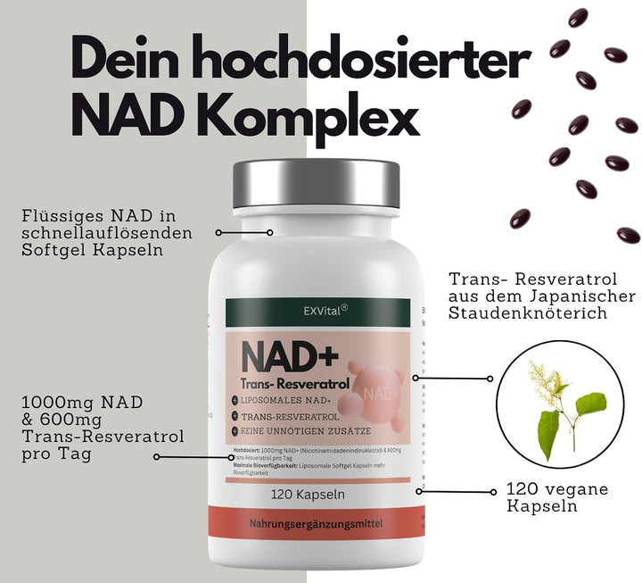 NAD+ Kapseln, hochdosiert 1000mg NAD+ &amp; 600mg Trans-Resveratrol pro Tag, 120 Stück von EXVital