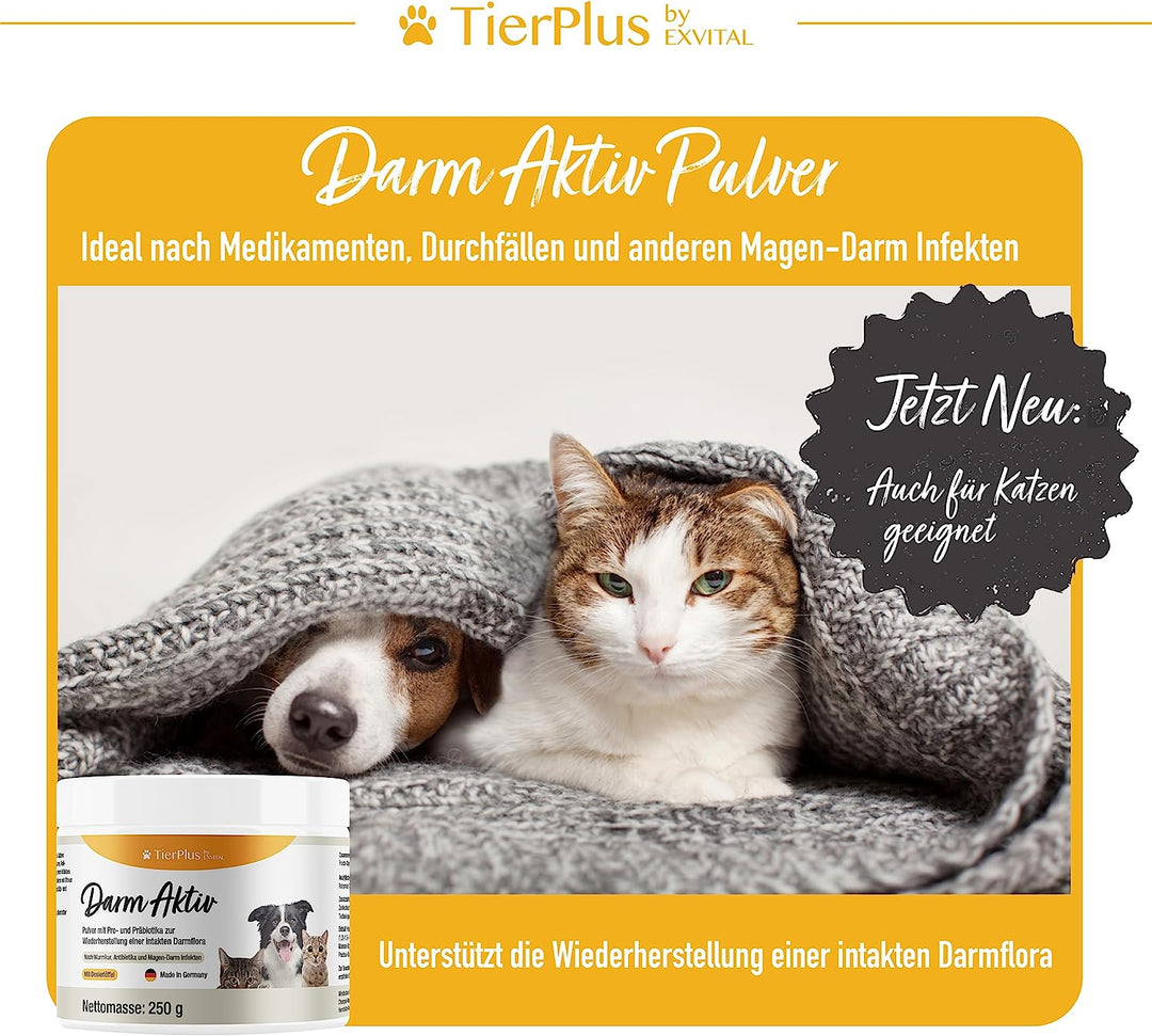 Darm Aktiv Pulver für Hunde &amp; Katzen, Probiotika &amp; Präbiotika