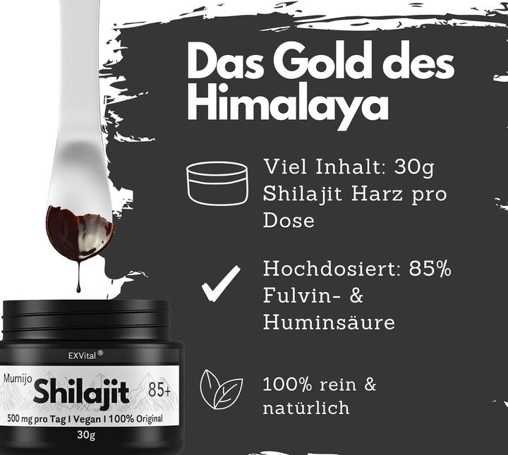 Mumijo Shilajit 85+ von EXVital