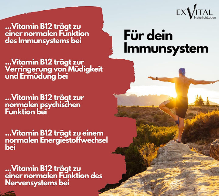 Vitamin B12 (Methylcobalamin) von EXVital, 50ml Tropfen