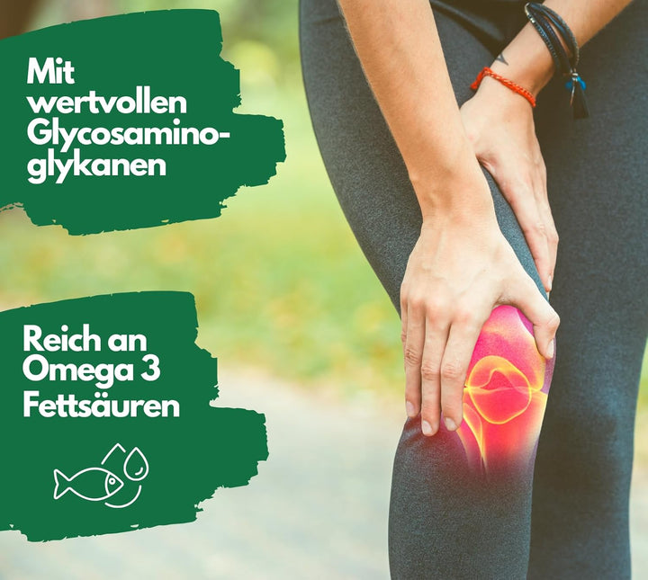 Grünlippmuschel hochdosiert von EXVital, 300 Kapseln