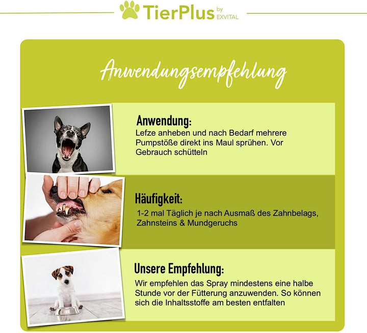 TierPLus Dentalspray für Hunde gegen Zahnbelag Zahnstein &amp; Mundgeruch von EXVital