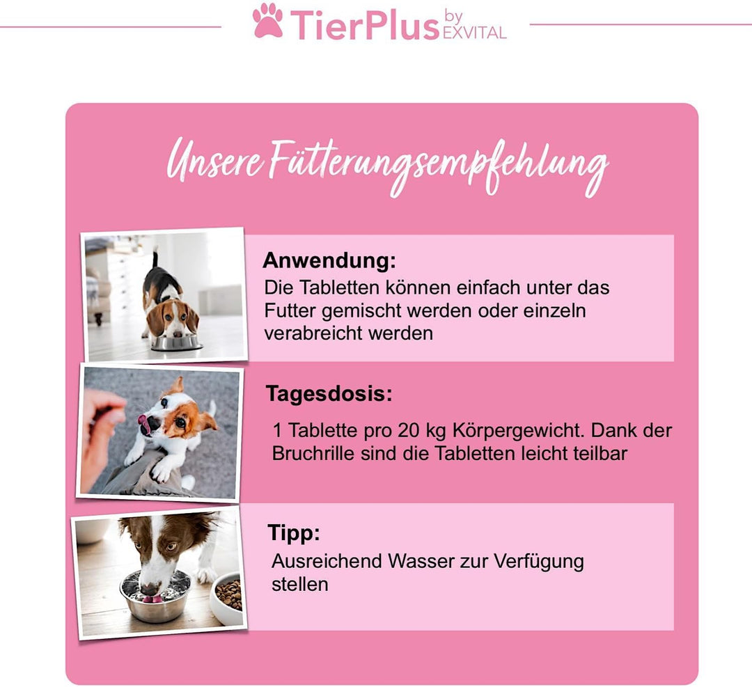 Haarpracht Tabletten - hochdosiertes Biotin Komplex für Hunde
