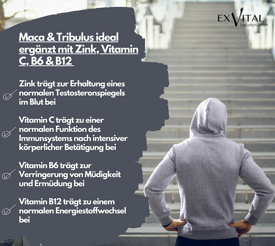 Maca 1000 Plus Tribulus von EXVital, 90 Kapseln