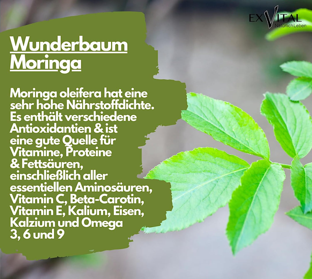 BIO Moringa Tabletten - 3000mg Moringa Oleifera