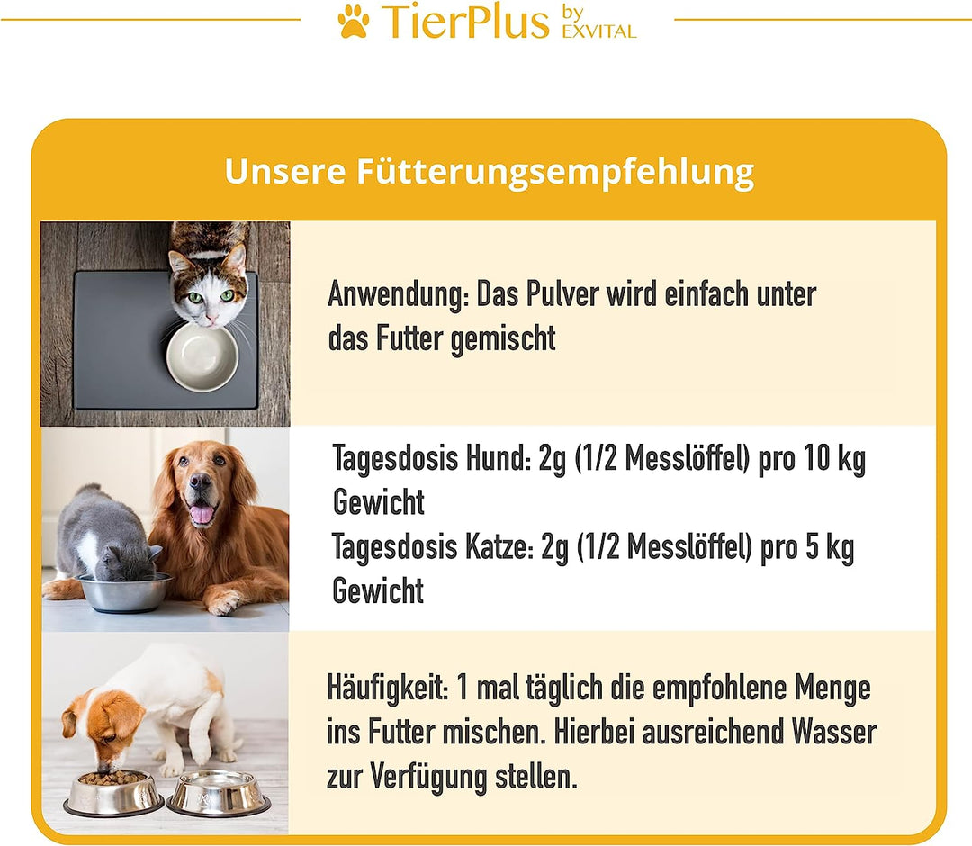 Darm Aktiv Pulver für Hunde &amp; Katzen, Probiotika &amp; Präbiotika