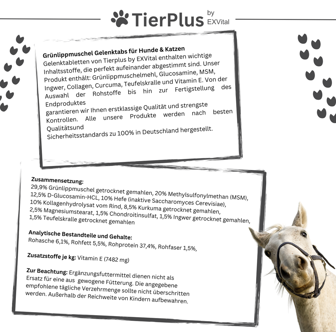 Grünlippmuschel Plus - Gelenktabletten für Hunde
