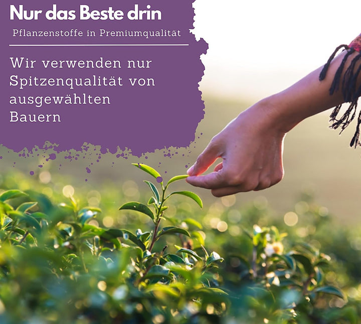 Ruhepause, mit Baldrian &amp; Ashwagandha, 200 hochdosierte Kapseln von EXVital