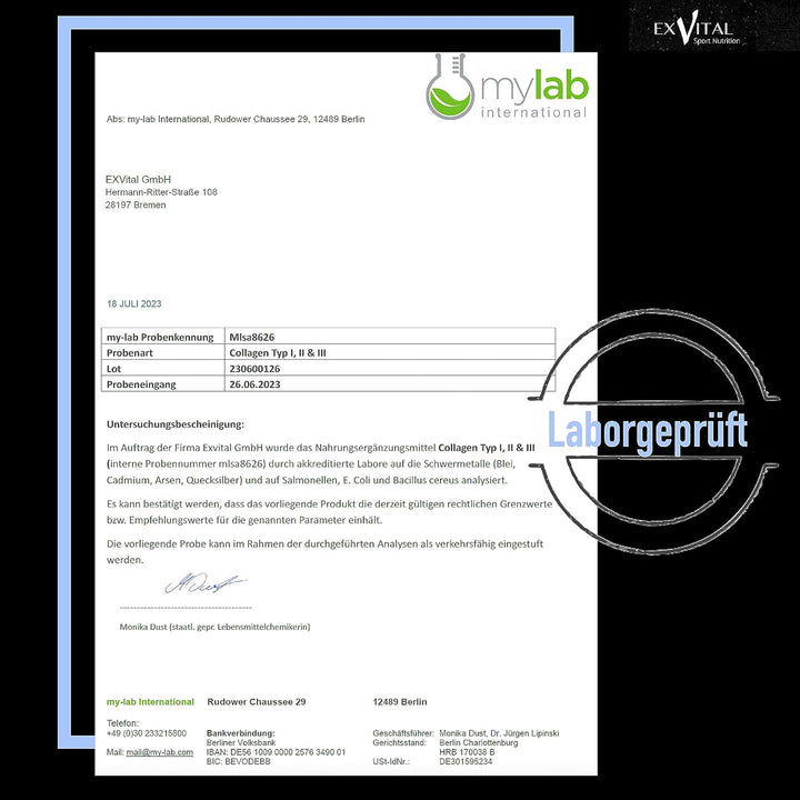 Collagen Pulver 500 Gramm, Bioaktives Kollagen von EXVital