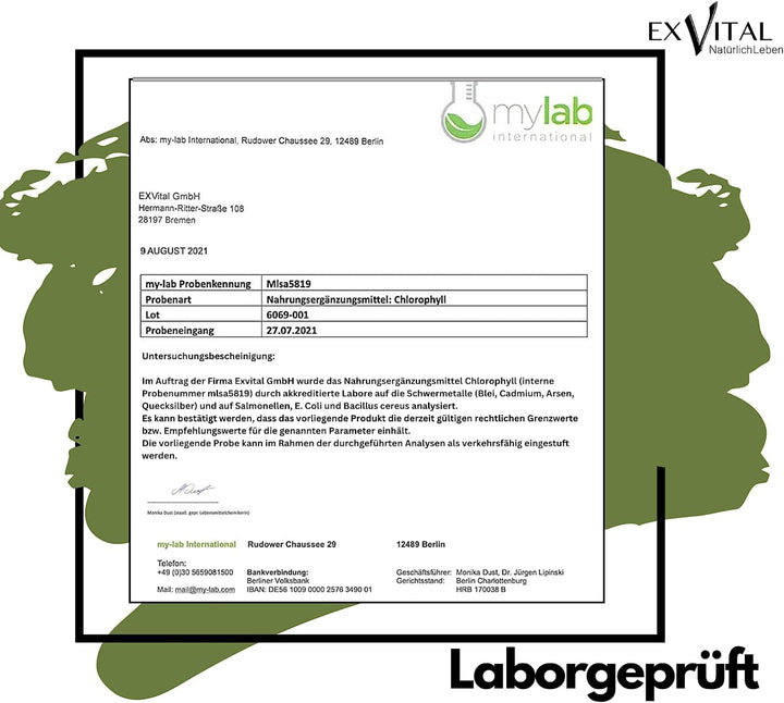 Liquid Chlorophyll aus Alfalfa, 50 ml Tropfen