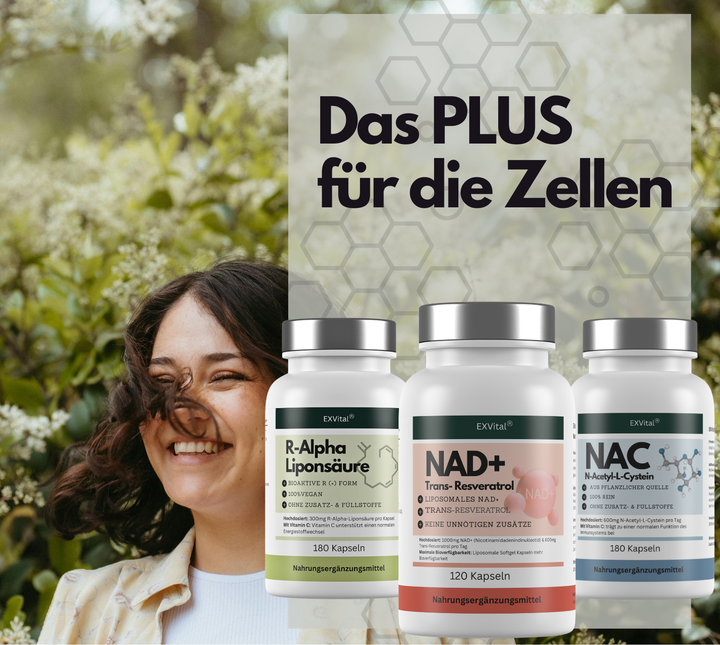 ZellPlus Set (NAD+, NAC &amp; R-Alpha Liponsäure Kapseln)