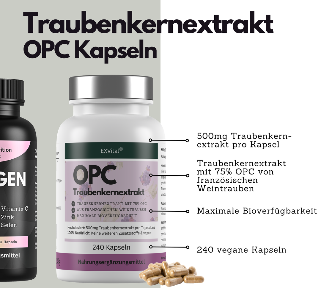 Natural Beauty Set (Collagen Komplex, Q10 &amp; OPC Kapseln)