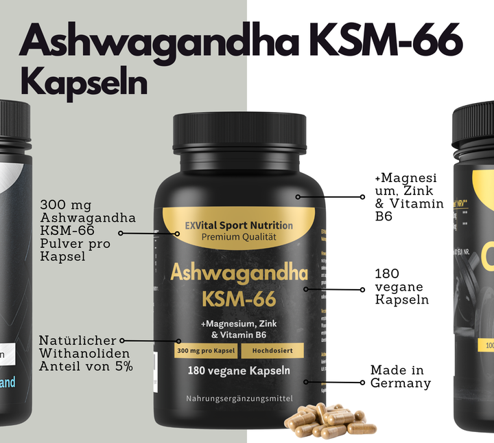 Workout &amp; Regeneration Set (BCAA, Ashwagandha &amp; Creatin Kapseln)