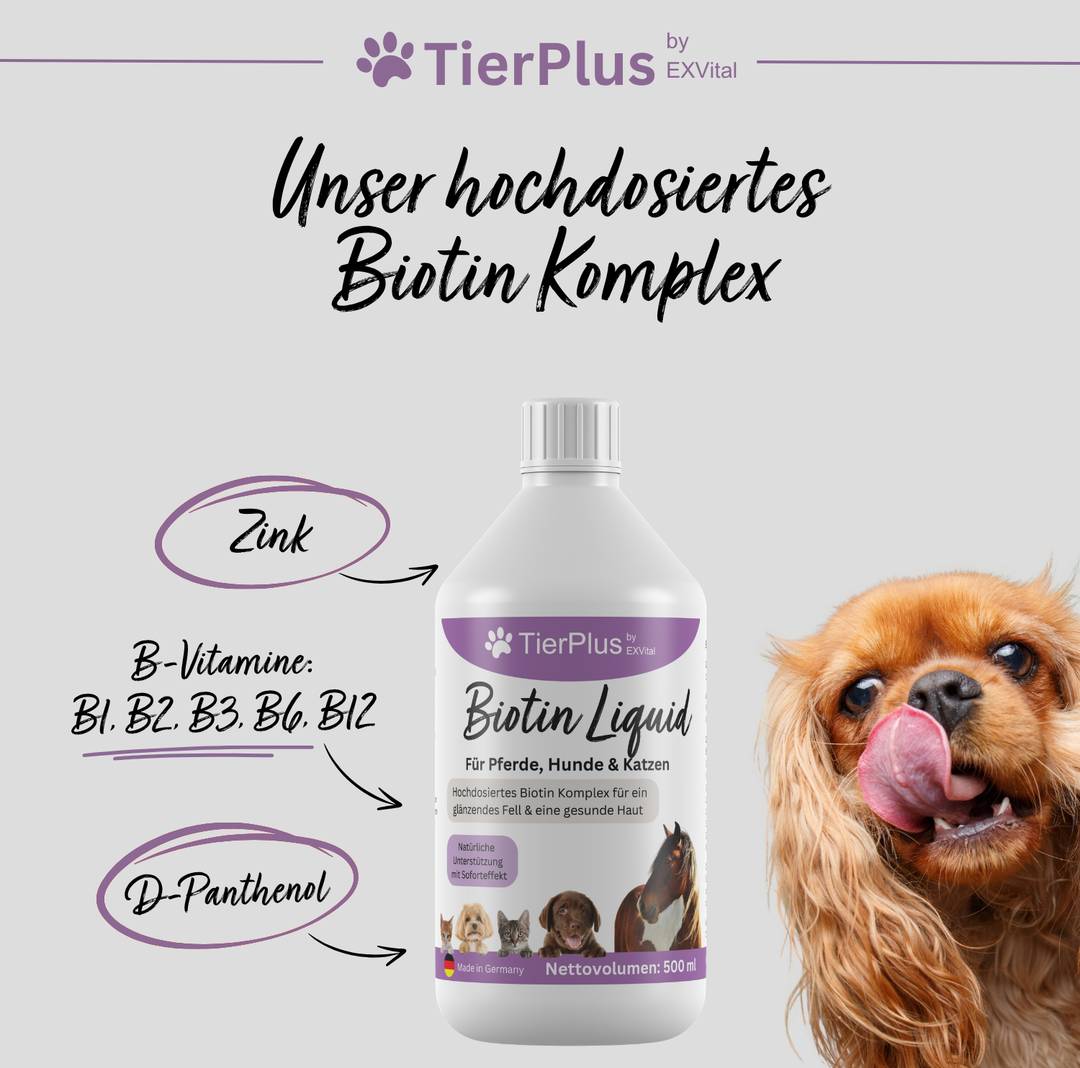 TierPlus Biotin Liquid für Pferde, Hunde &amp; Katzen
