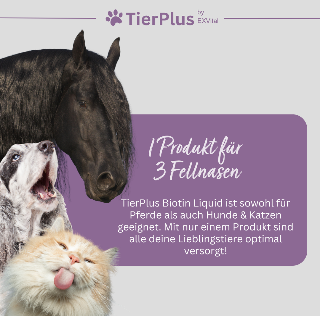 TierPlus Biotin Liquid für Pferde, Hunde &amp; Katzen