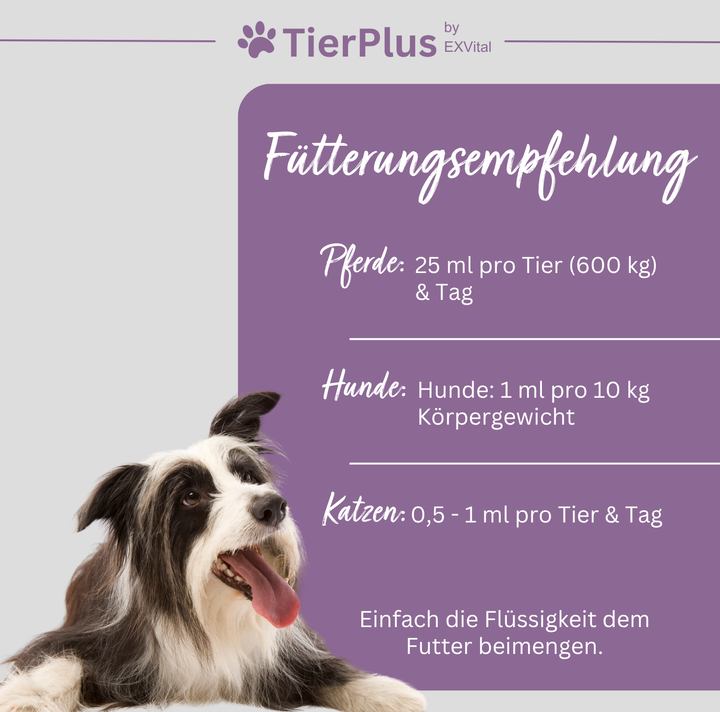 TierPlus Biotin Liquid für Pferde, Hunde &amp; Katzen