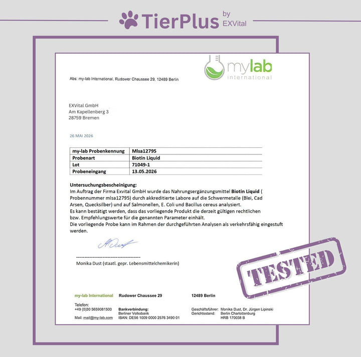 TierPlus Biotin Liquid für Pferde, Hunde &amp; Katzen