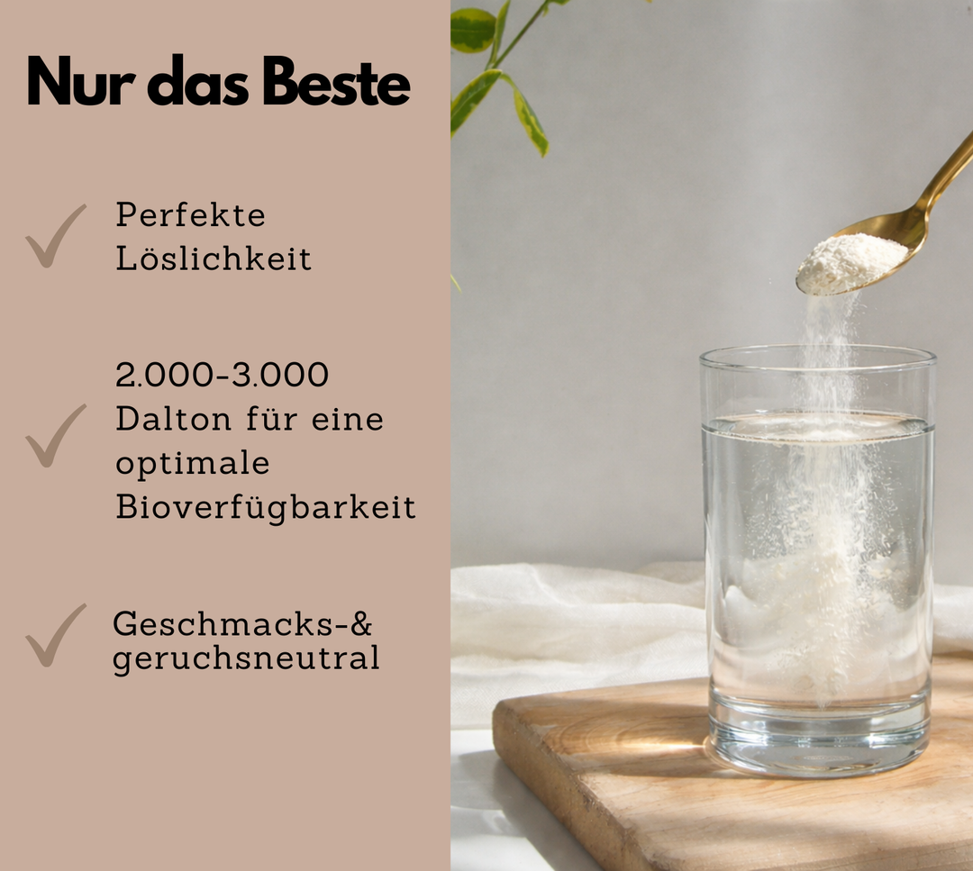 Kollagen Pulver mit Vitamin C (500g) von EXVital