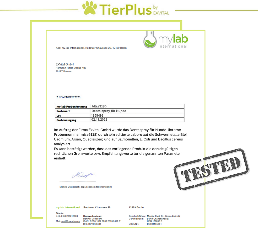 TierPLus Dentalspray für Hunde gegen Zahnbelag Zahnstein &amp; Mundgeruch von EXVital