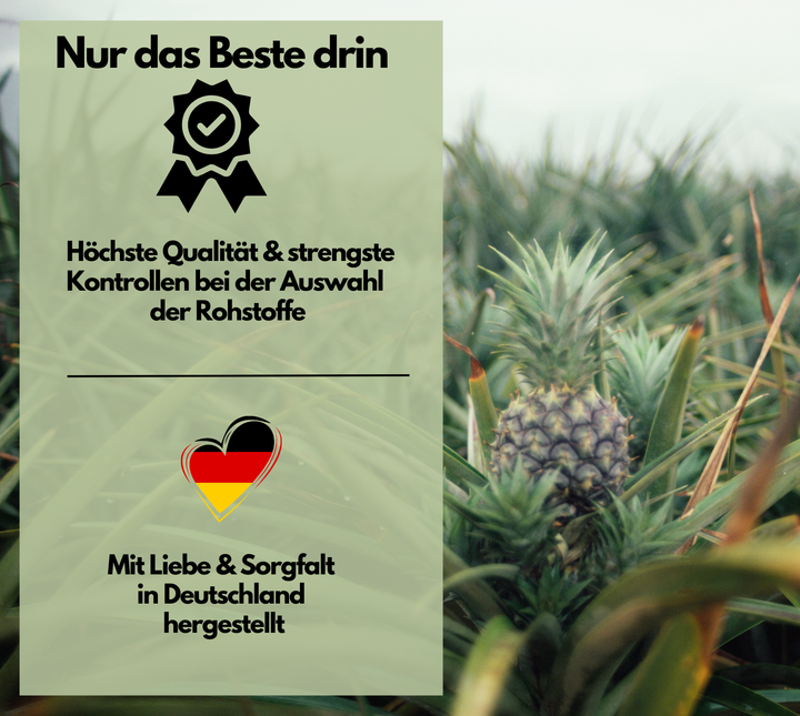 Enzym Komplex, mit 800mg Bromelain (5000 F.I.P), 300mg Papain, Rutin &amp; Selen, 180 Kapseln von EXVital