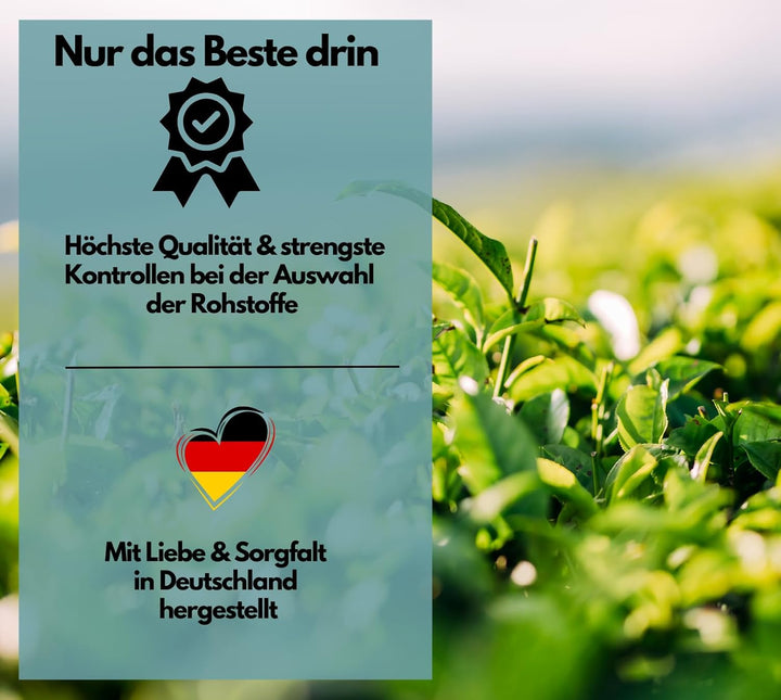L-Theanin Komplex Kapseln mit Magnesium, Ashwagandha &amp; Vitamin B6 von EXVital