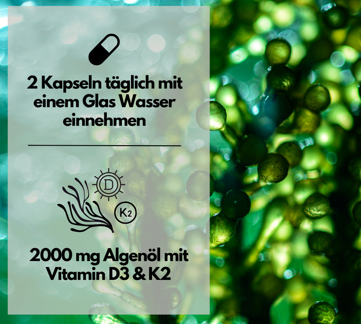 Omega 3 + D3 &amp; K2 Kapseln, 100% vegan aus Algenöl, 120 Stück von EXVital