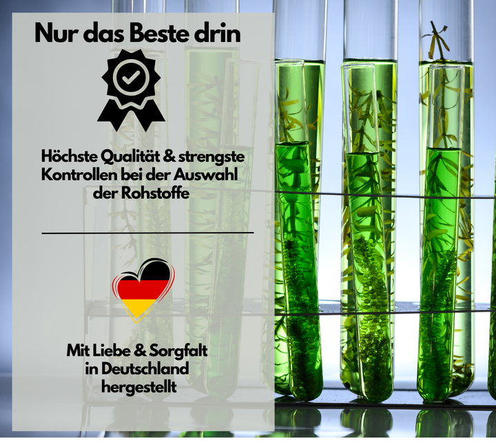 Omega 3 + D3 &amp; K2 Kapseln, 100% vegan aus Algenöl, 120 Stück von EXVital